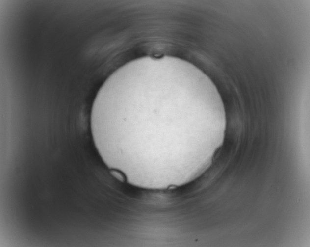 X0000088740282200706282150