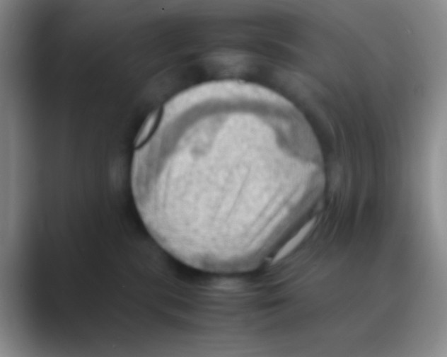 X0000088740283200706282150