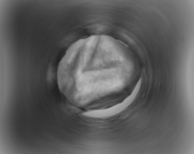X0000088740284200706282150