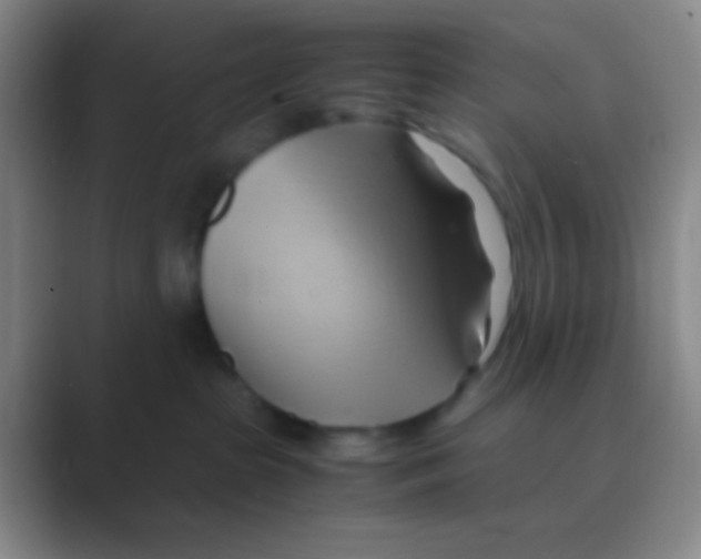 X0000088740285200706282150