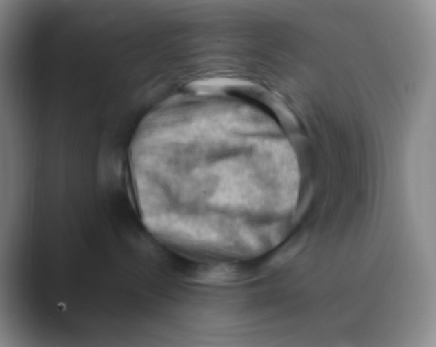 X0000088740288200706282151