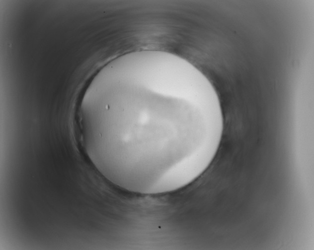 X0000088740290200706282150