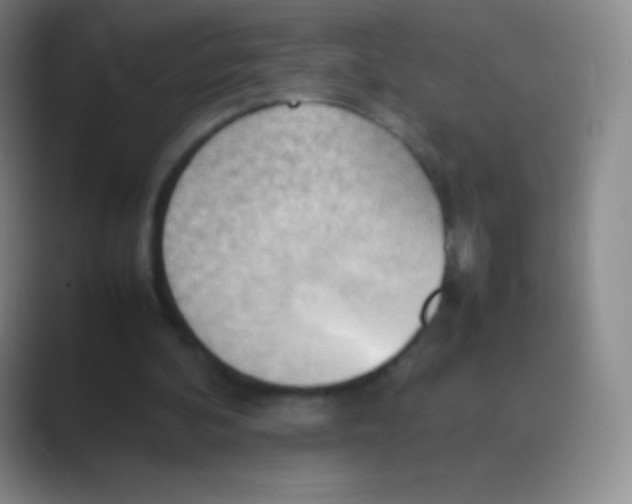 X0000088740292200706282150