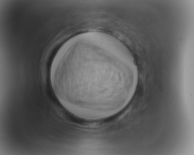 X0000088740295200706282150