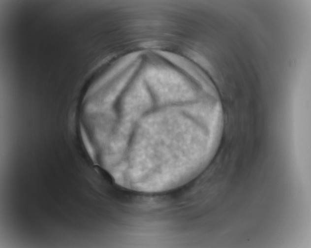 X0000088740297200706282150