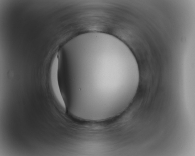X0000088740299200706282150