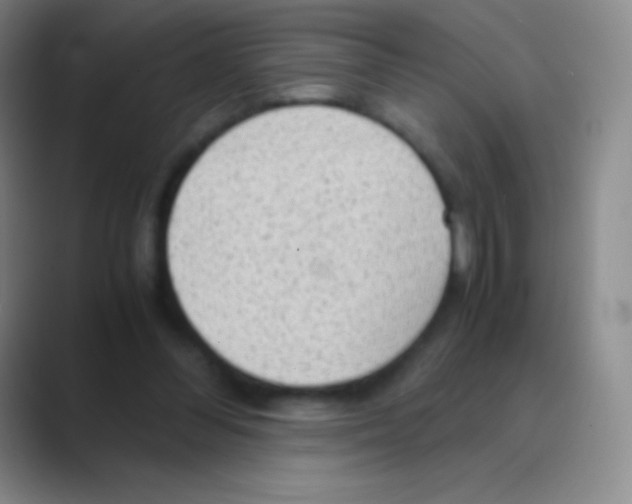 X0000088740300200706282150
