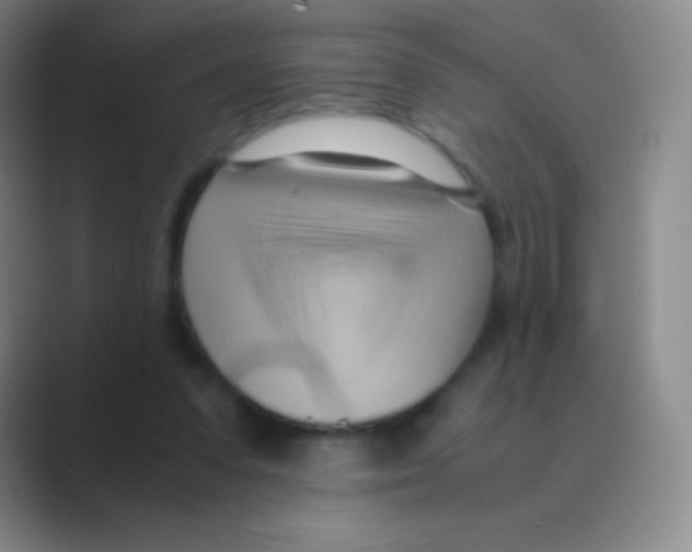 X0000088740303200706282150