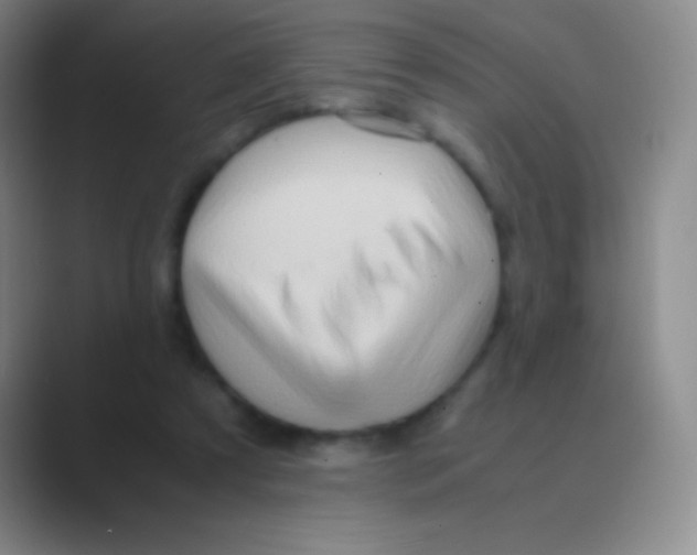 X0000088740305200706282150