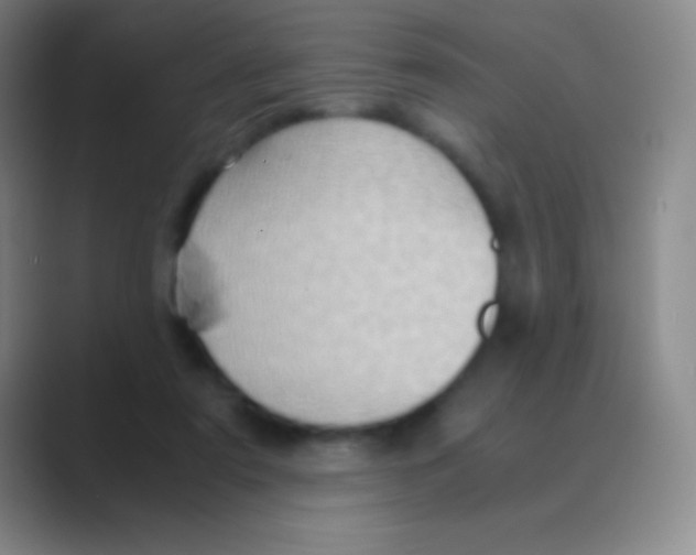 X0000088740307200706282149