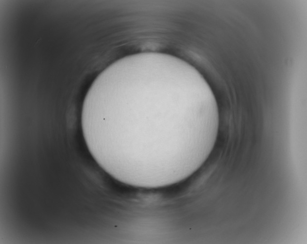 X0000088740311200706282149