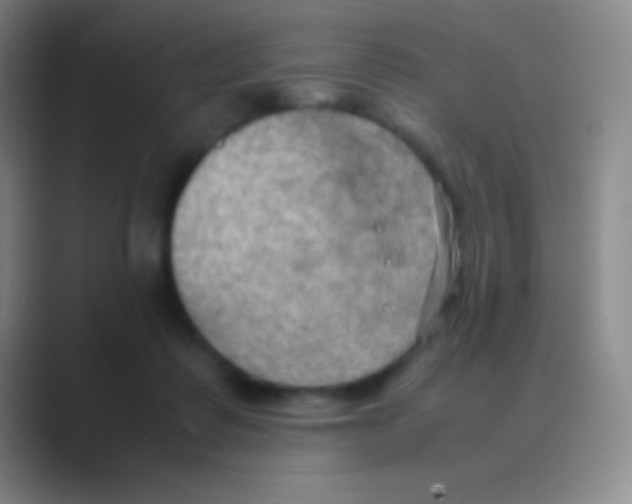 X0000088740315200706282149