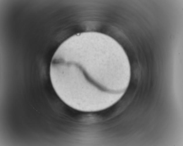 X0000088740316200706282149