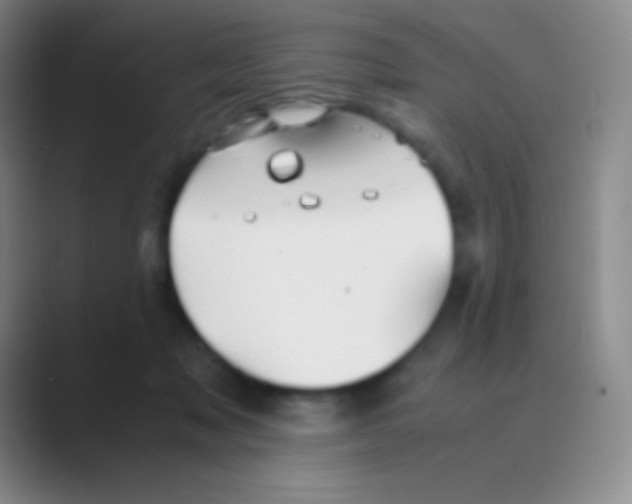 X0000088740317200706282149