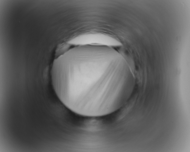 X0000088740319200706282149