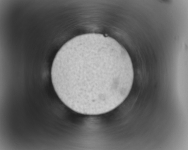 X0000088740320200706282149