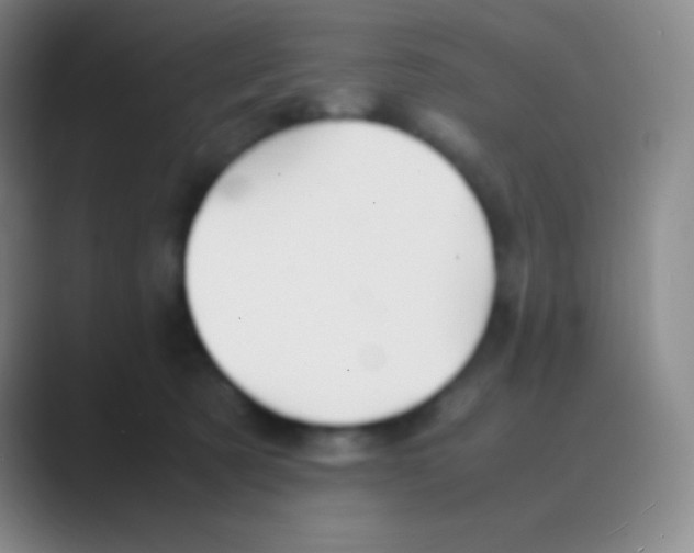 X0000088740321200706282149