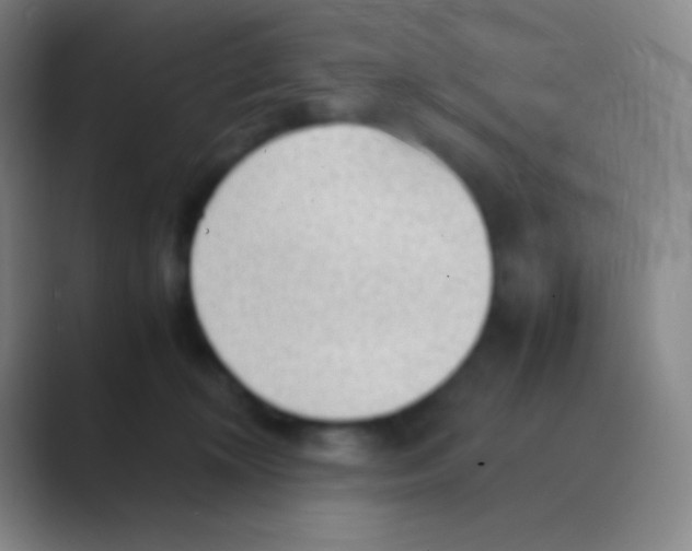 X0000088740324200706282149