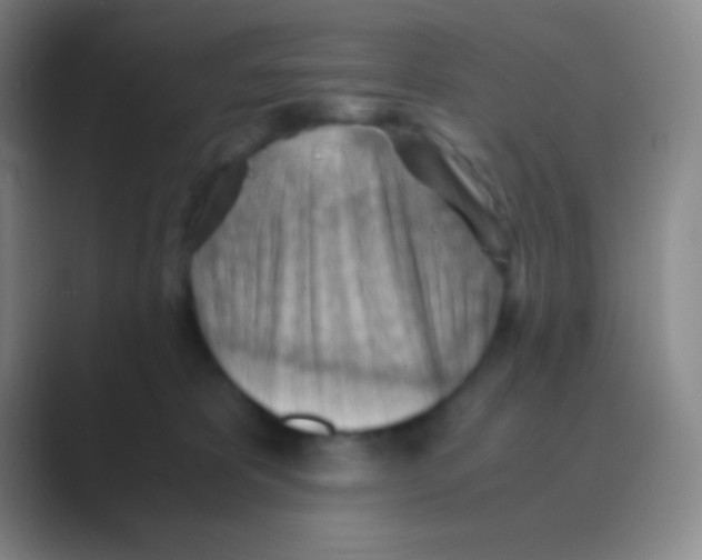 X0000088740325200706282149