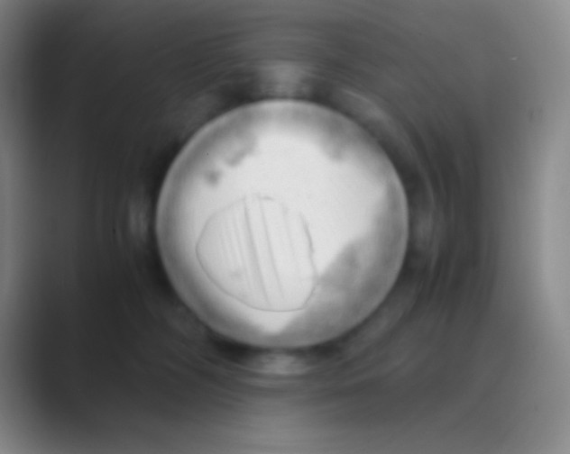 X0000088740326200706282149