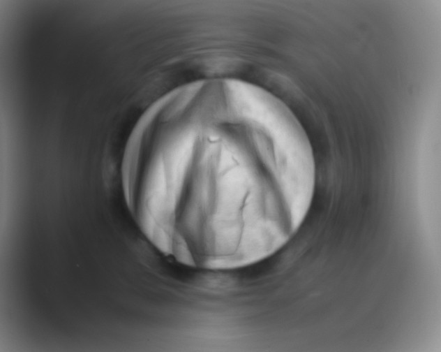 X0000088740327200706282149