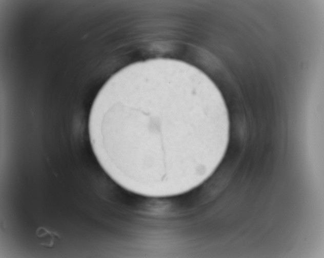 X0000088740328200706282149