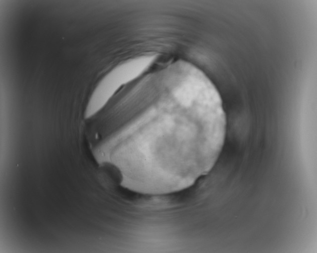X0000088740329200706282149