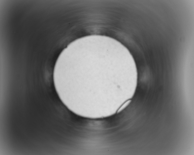 X0000088740332200706282149