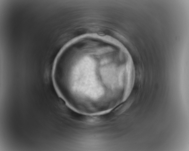 X0000088740333200706282149