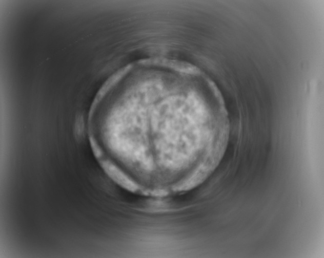 X0000088740335200706282149