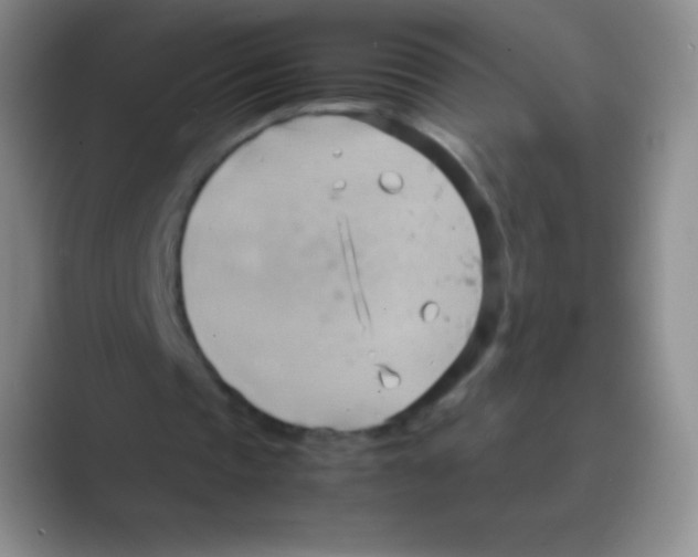 X0000088740337200706282148