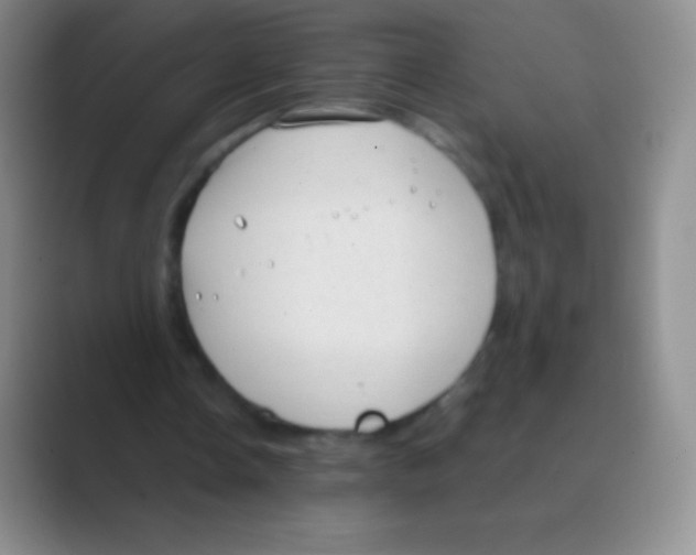 X0000088740338200706282149