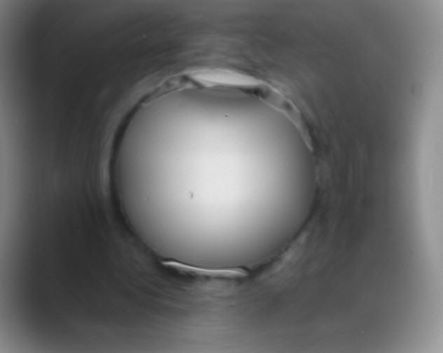 X0000088740340200706282149