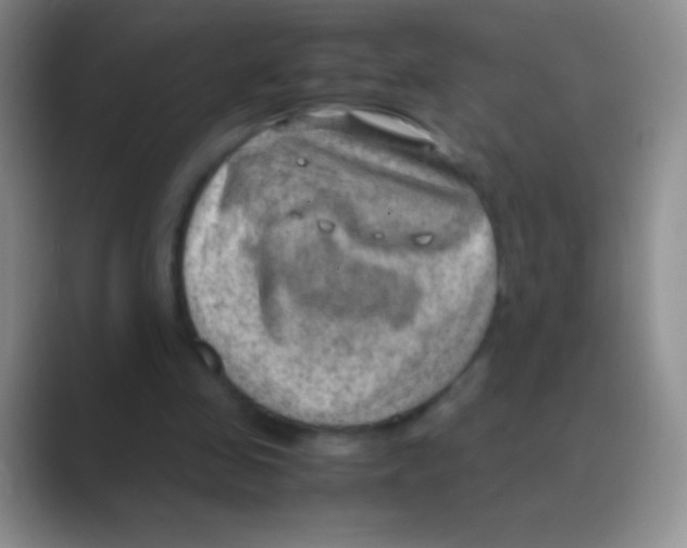 X0000088740341200706282149