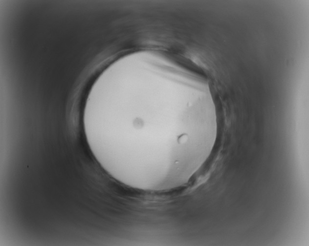 X0000088740343200706282149