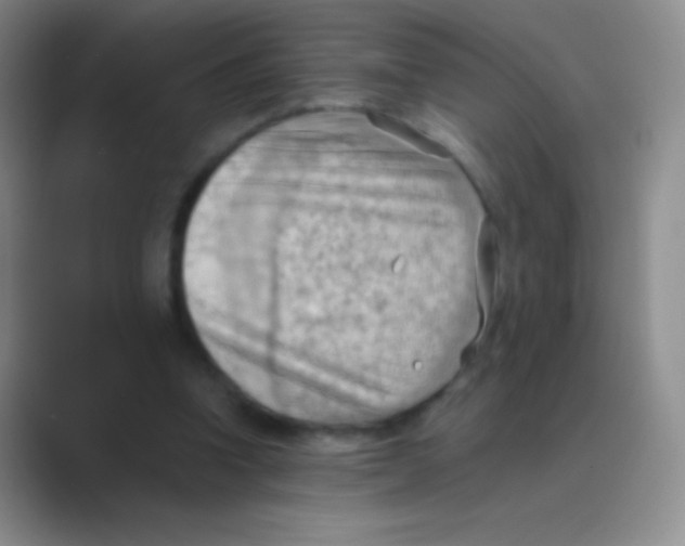 X0000088740346200706282149
