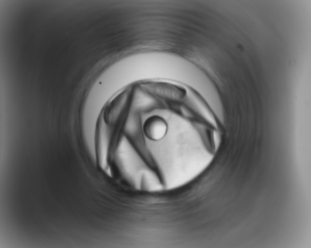 X0000088740348200706282149
