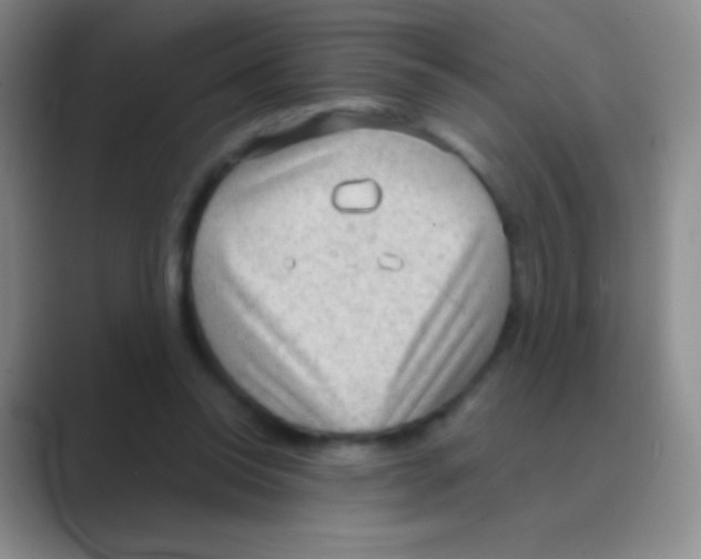 X0000088740350200706282149
