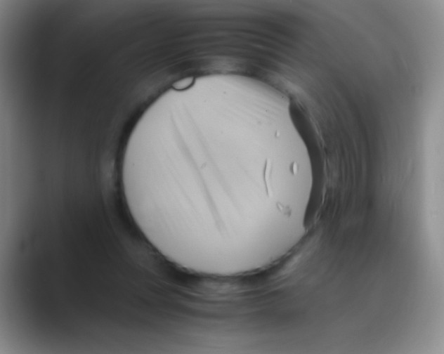 X0000088740351200706282149