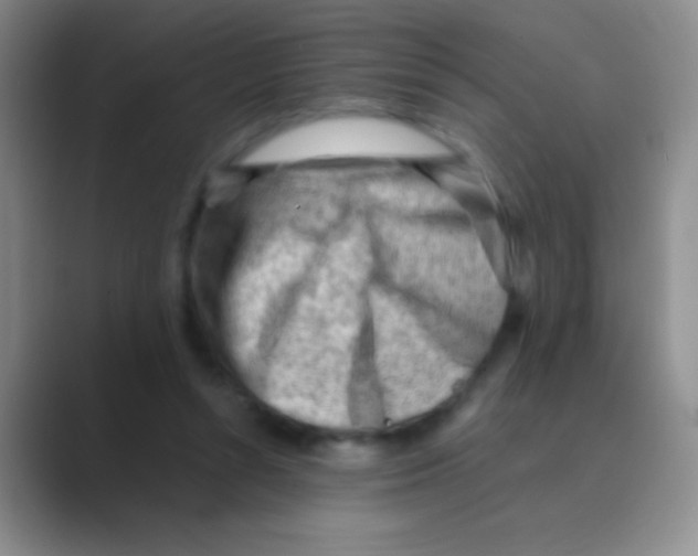 X0000088740352200706282149