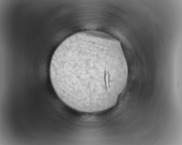 X0000088740354200706282149