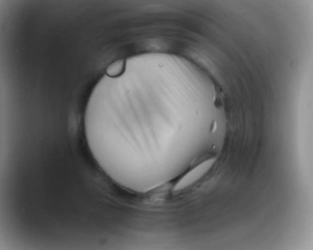 X0000088740355200706282149