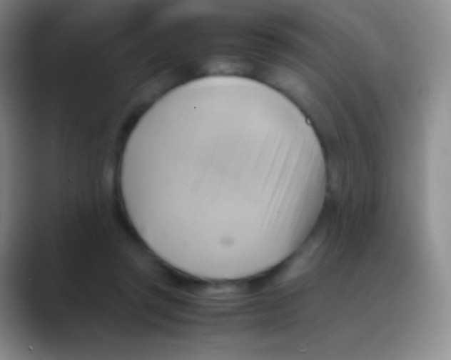 X0000088740357200706282149