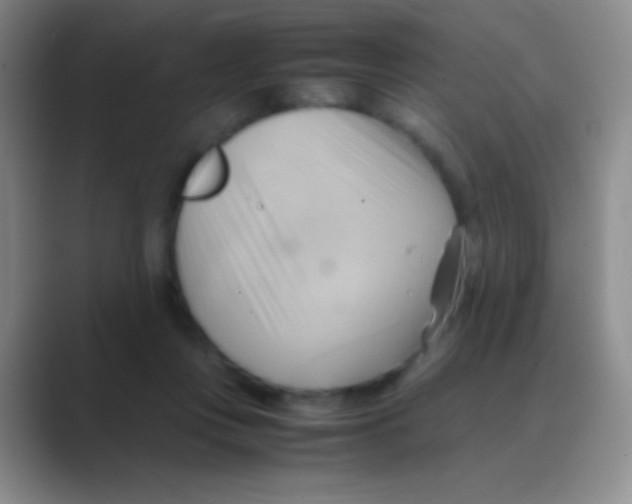 X0000088740359200706282149