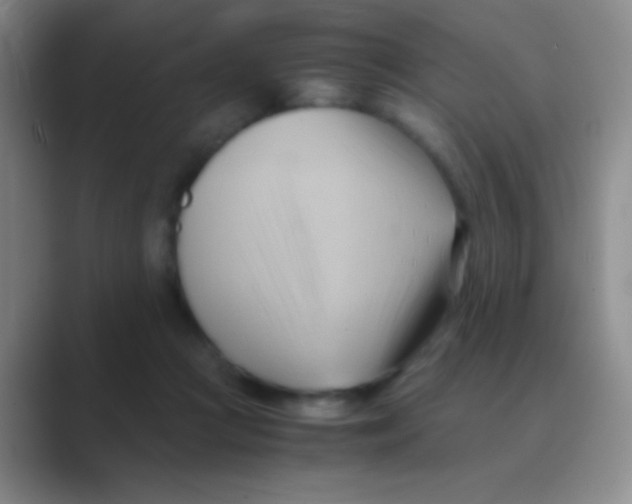 X0000088740361200706282149