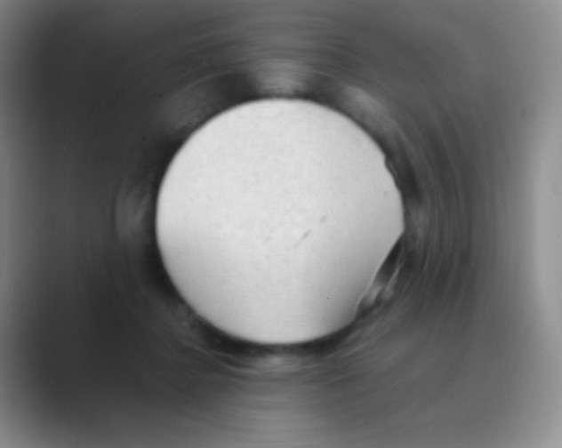 X0000088740364200706282149