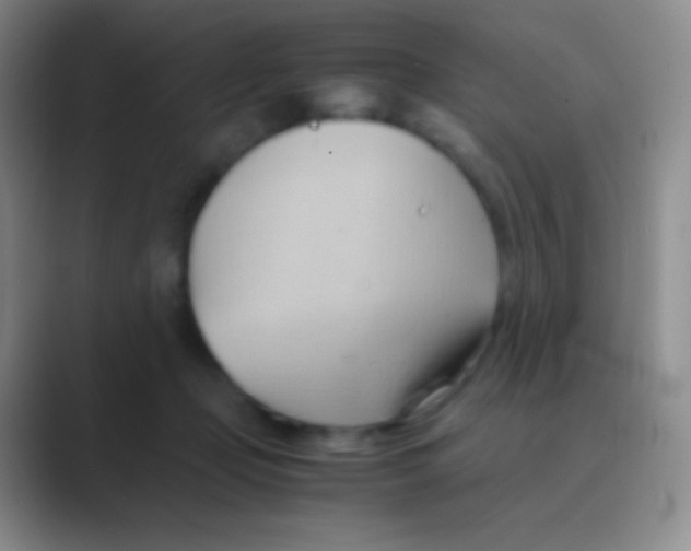 X0000088740365200706282149