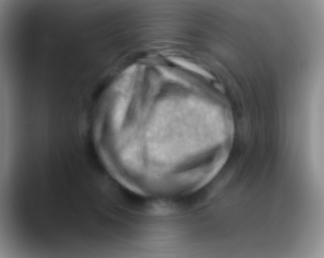 X0000088740372200706282149