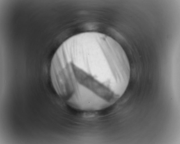 X0000088740373200706282149