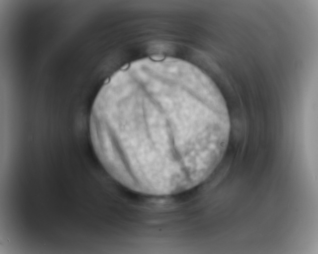 X0000088740375200706282149